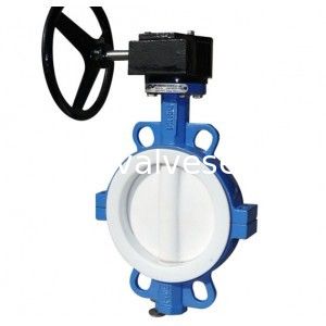 PTFE lleno alineó la válvula de mariposa Seat para la oblea/el estirón/la válvula ensanchada 2&quot; - 24&quot; tamaño